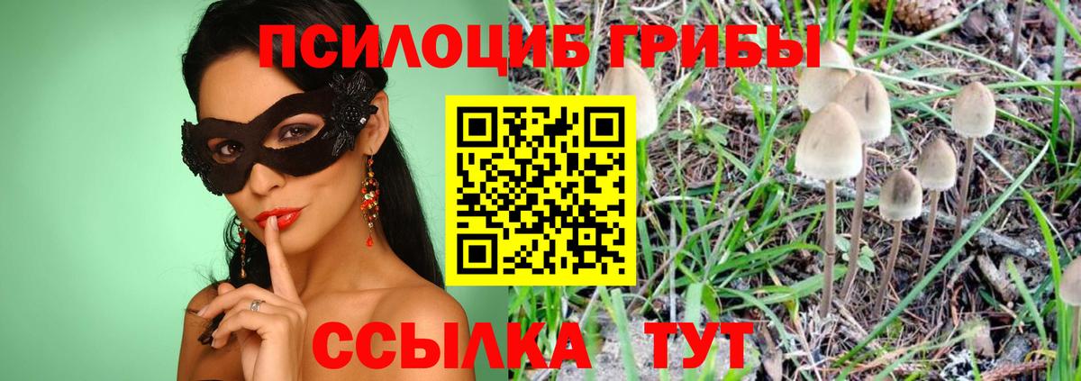 Псилоцибиновые грибы Magic Shrooms  Вход с VPN  Сосновый Бор  Галлюциногенные грибы GOLDEN TEACHER 