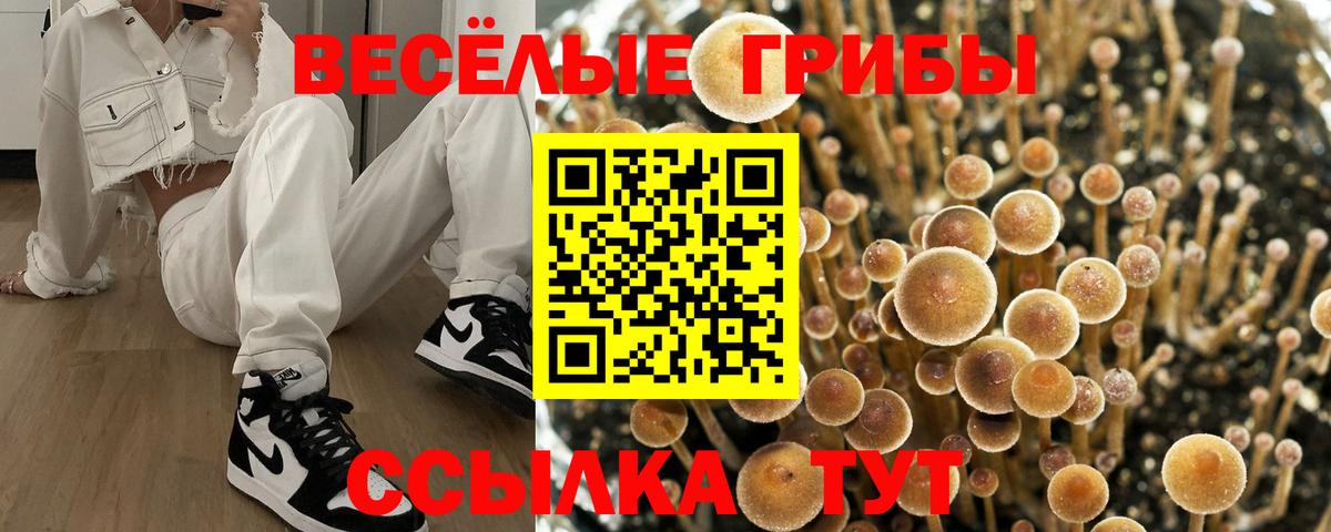 Галлюциногенные грибы ЛСД Сосновый Бор